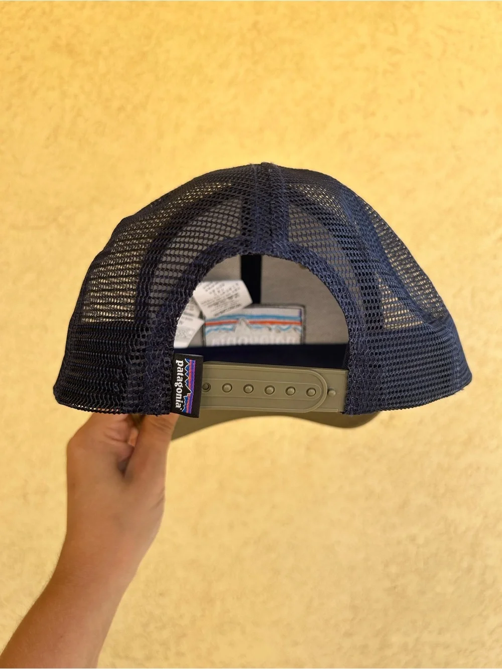 Patagonia trucker style